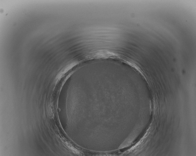 X0000068841018200605121401