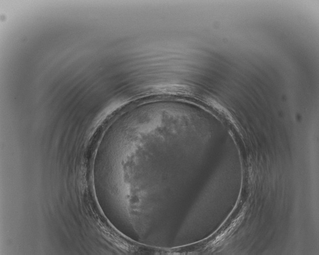 X0000068841019200605121401