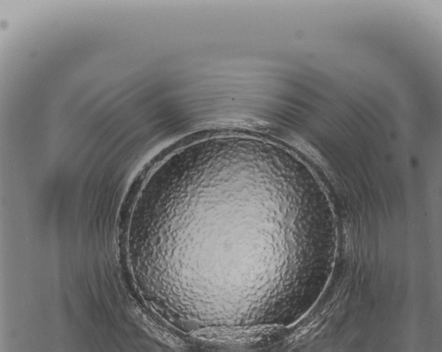 X0000068841020200605121401