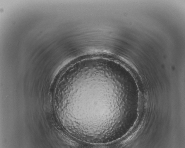 X0000068841021200605121401