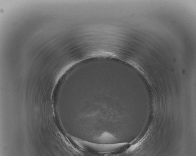 X0000068841022200605121401