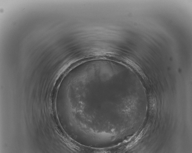 X0000068841023200605121401