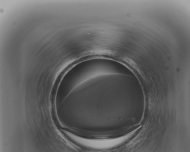 X0000068841024200605121401