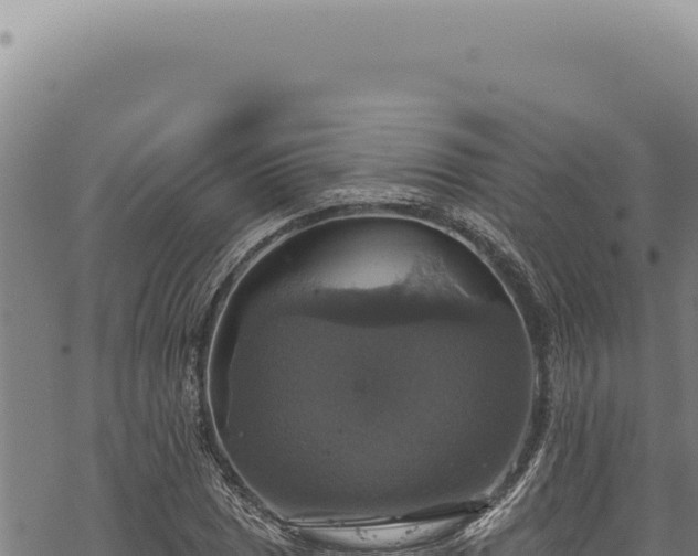 X0000068841025200605121401