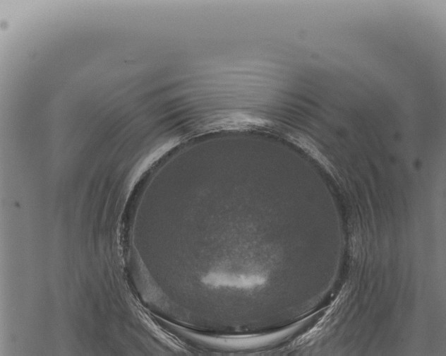 X0000068841026200605121401