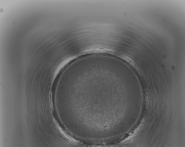 X0000068841030200605121401