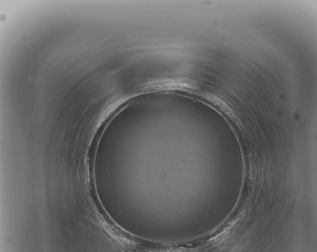 X0000068841031200605121401