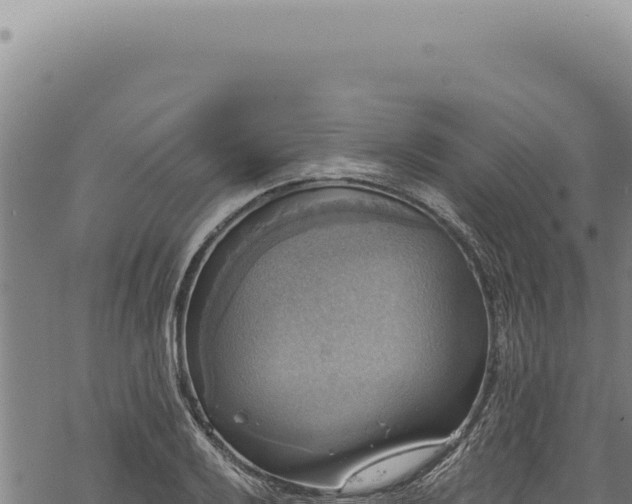 X0000068841032200605121401