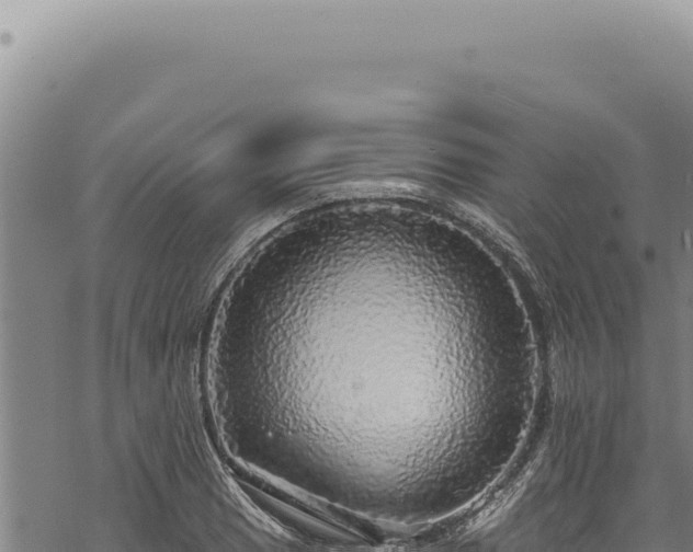 X0000068841033200605121401