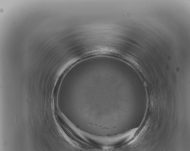 X0000068841034200605121401