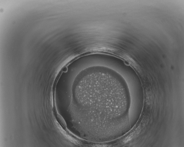 X0000068841036200605121401