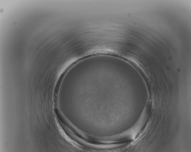 X0000068841038200605121401