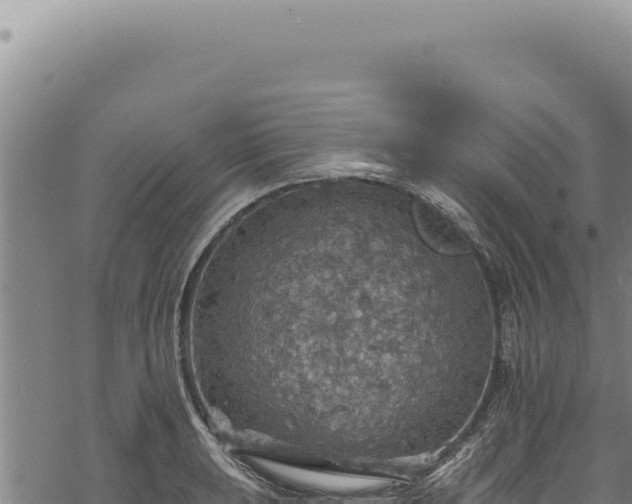 X0000068841039200605121401