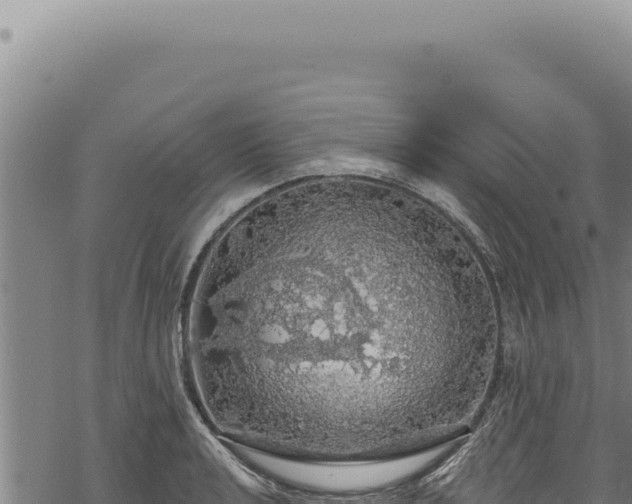 X0000068841040200605121401