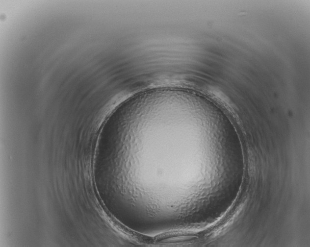 X0000068841041200605121401