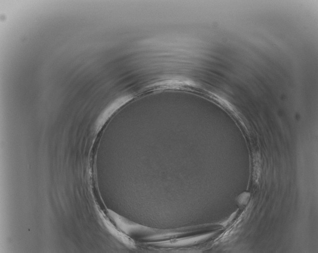 X0000068841042200605121401