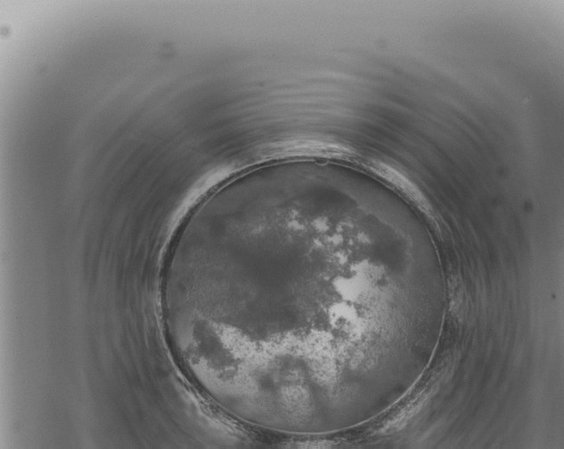 X0000068841043200605121401