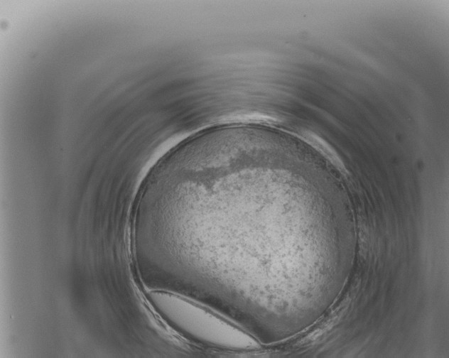 X0000068841044200605121401