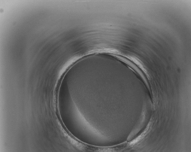 X0000068841046200605121401