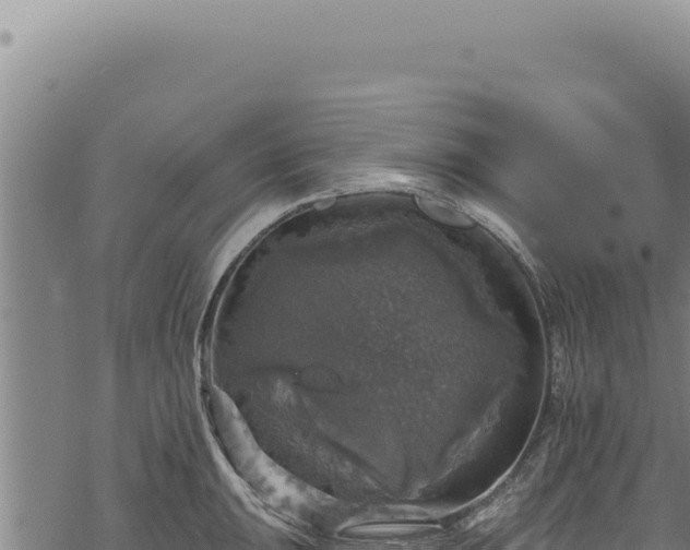 X0000068841047200605121402