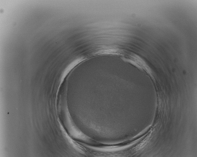 X0000068841050200605121402