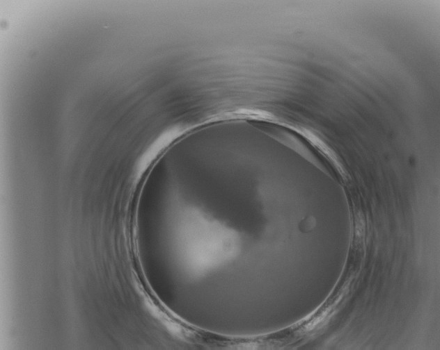 X0000068841054200605121402