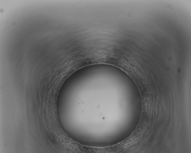 X0000068841057200605121401