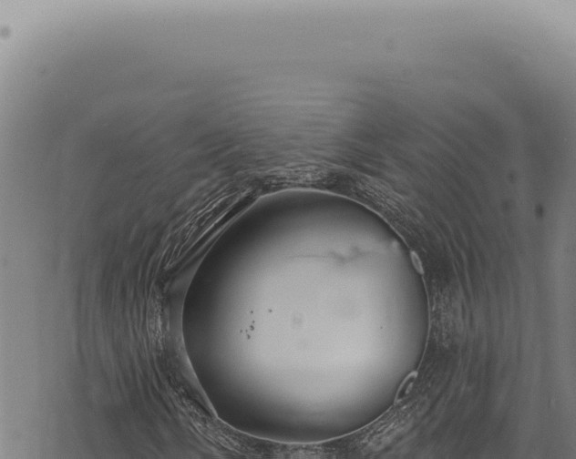 X0000068841058200605121401