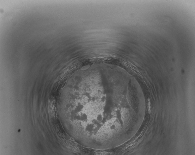 X0000068841059200605121401