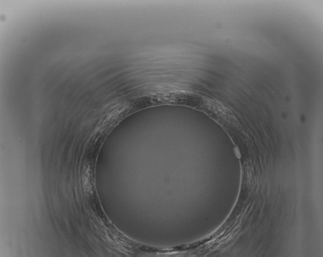 X0000068841060200605121401