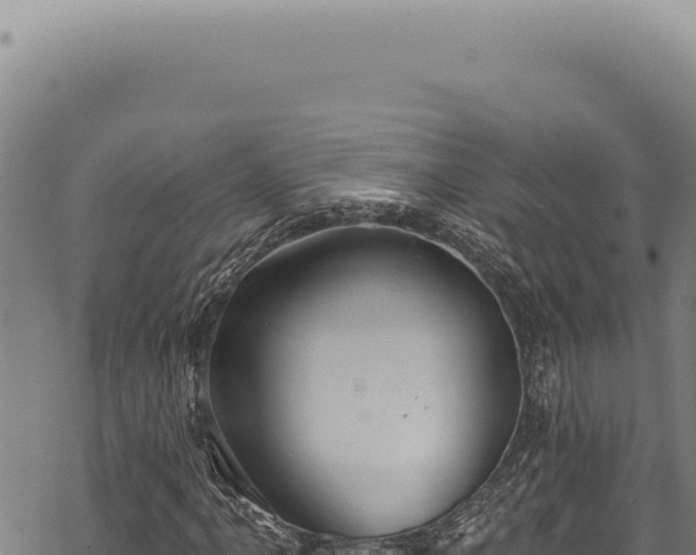 X0000068841061200605121401