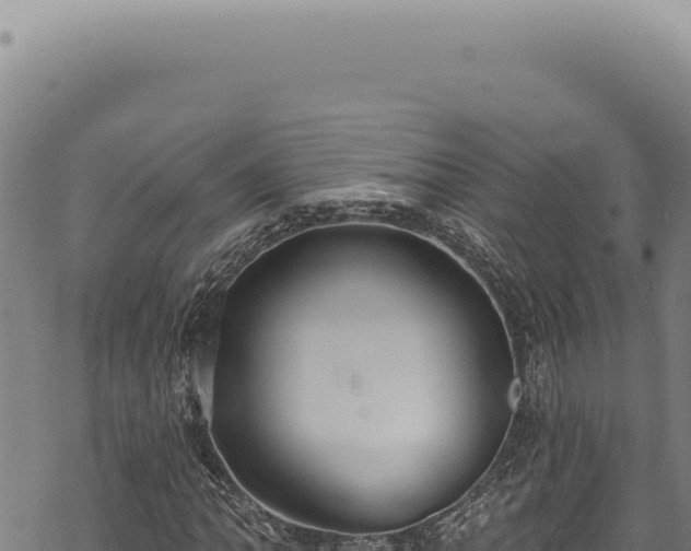 X0000068841062200605121401