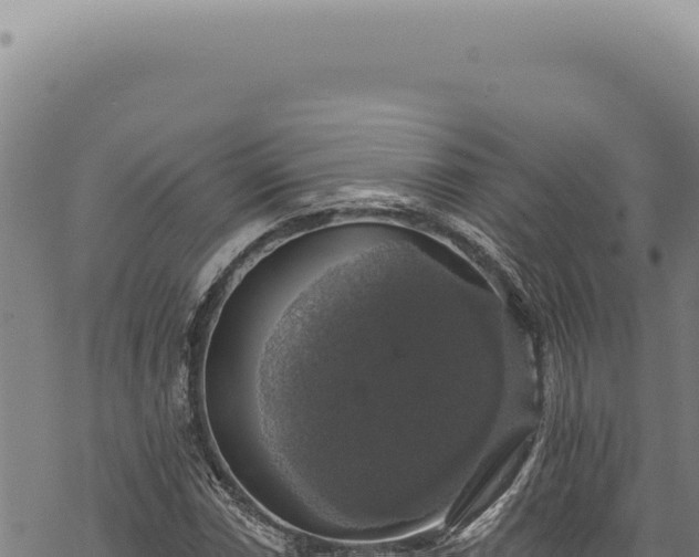 X0000068841066200605121401