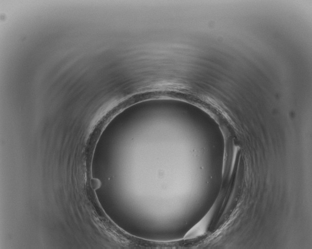 X0000068841069200605121401