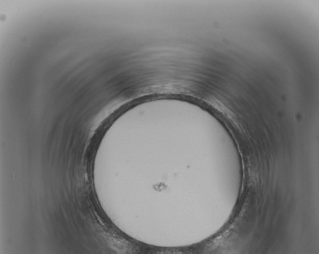 X0000068841070200605121401