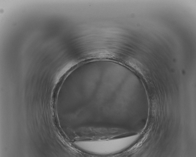 X0000068841071200605121401