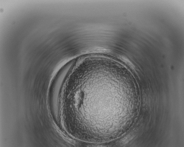 X0000068841072200605121401