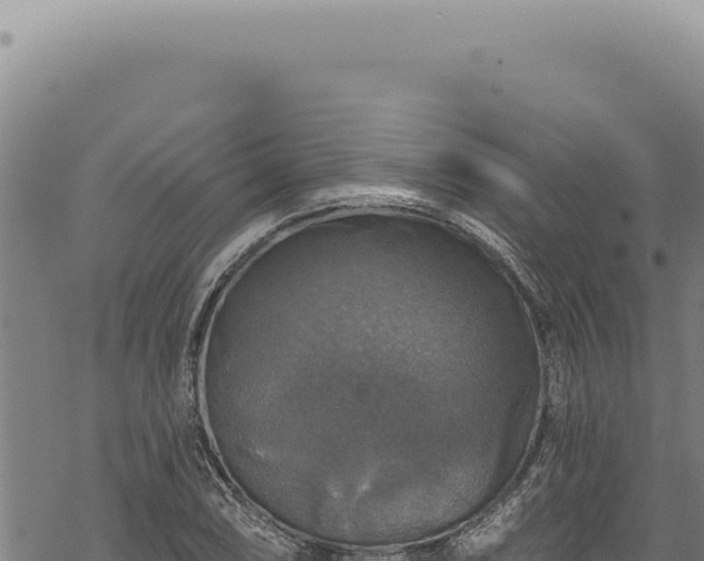 X0000068841074200605121401