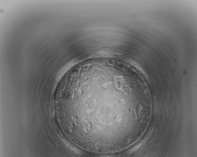 X0000068841075200605121401