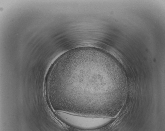 X0000068841076200605121401