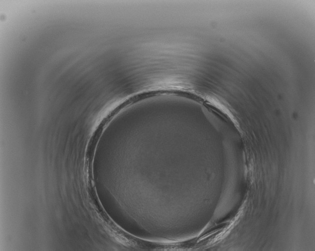 X0000068841077200605121401