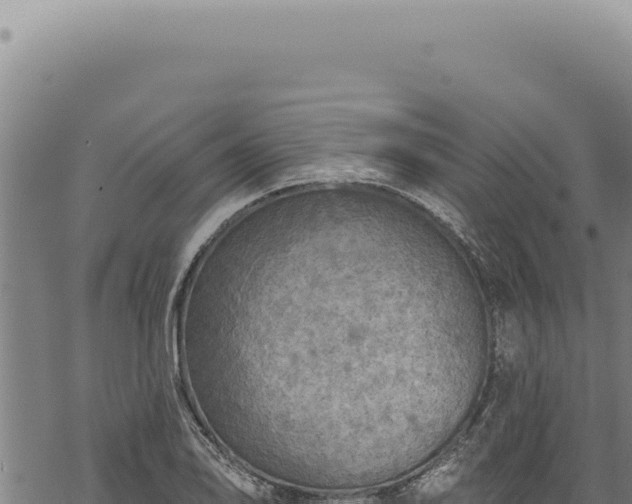 X0000068841078200605121400