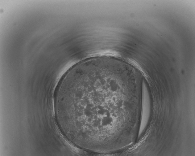 X0000068841079200605121400