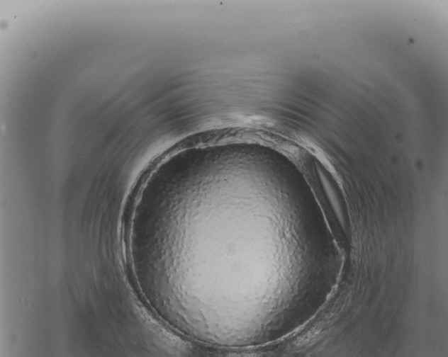 X0000068841080200605121400