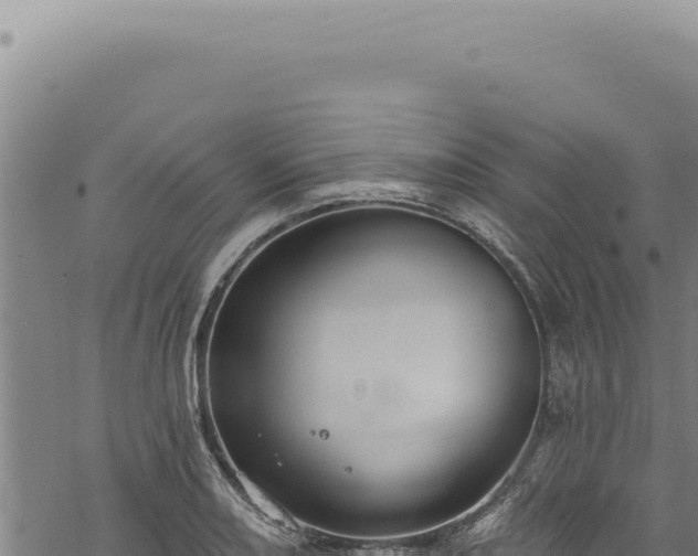 X0000068841082200605121400