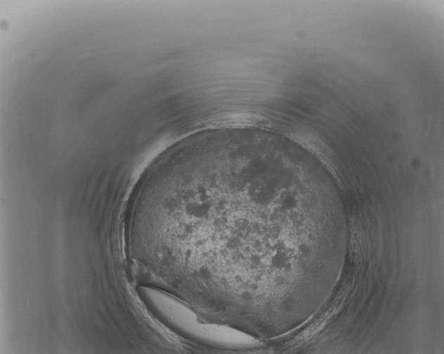 X0000068841083200605121400