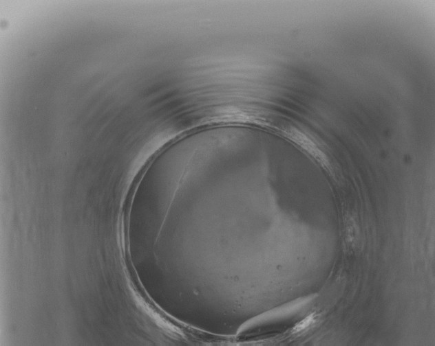 X0000068841084200605121400