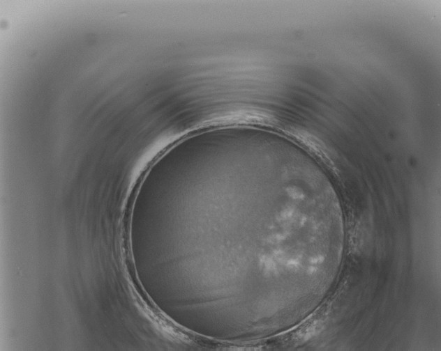 X0000068841086200605121400