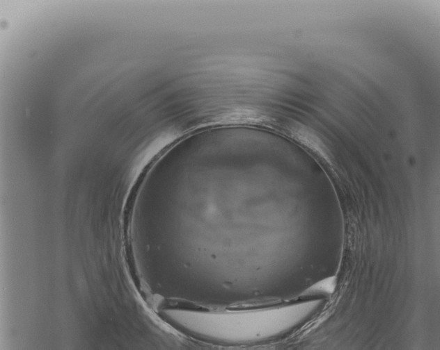 X0000068841087200605121400