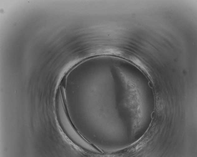 X0000068841088200605121400